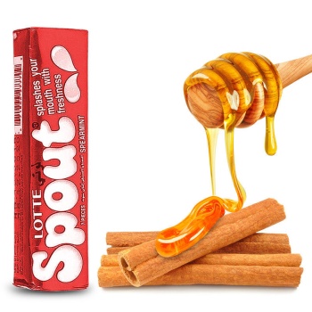  عسلی اسپوت با طعم دارچین لوته بسته 3 عددی635f3ed2d9a5151630